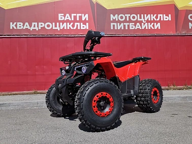 Квадроцикл PROMAX WILD 175 BASIC
