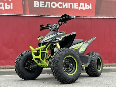 Квадроцикл PROMAX RAPTOR 300 AIR Monster