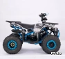 Квадроцикл  YACOTA SIRIUS 110			 			