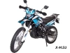 Мотоцикл RACER RC300-GY8Х PANTHER АКЦИЯ