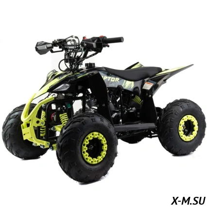 Квадроцикл MOTOLAND (МОТОЛЕНД) 110 RAPTOR A