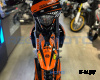 Мотоцикл Regulmoto ZR PR 300 4 valves 5 gear