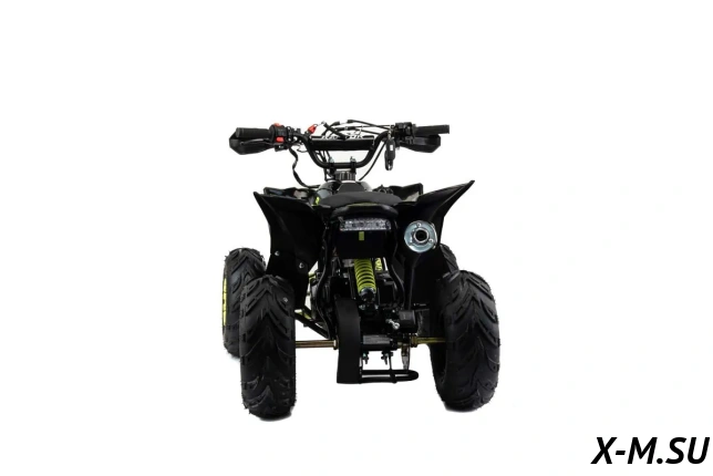 Квадроцикл MOTOLAND (МОТОЛЕНД) 110 RAPTOR A