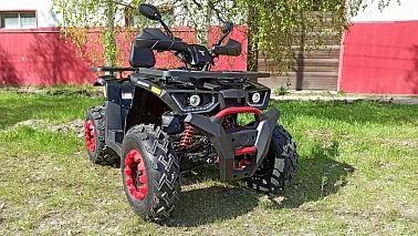 Квадроцикл PROMAX WILD 300 LUX "АНТИВИБРАЦИОННЫЙ"