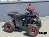 Квадроцикл PROMAX WILD 2.0 190 LUX Красный