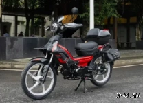 Скутеретта PROMAX DELTA NEW 130(49)